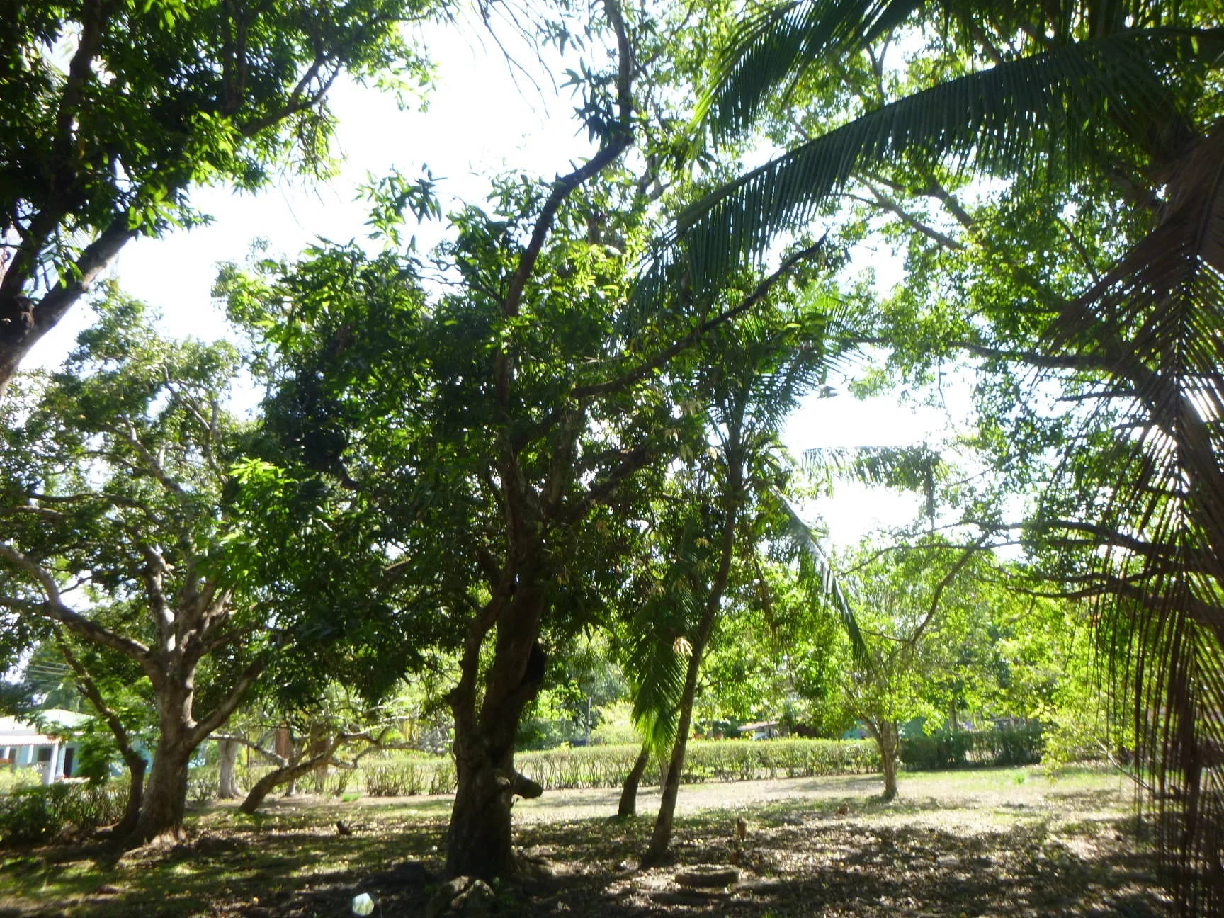 La Virgen Lot – Ocean Close - 5