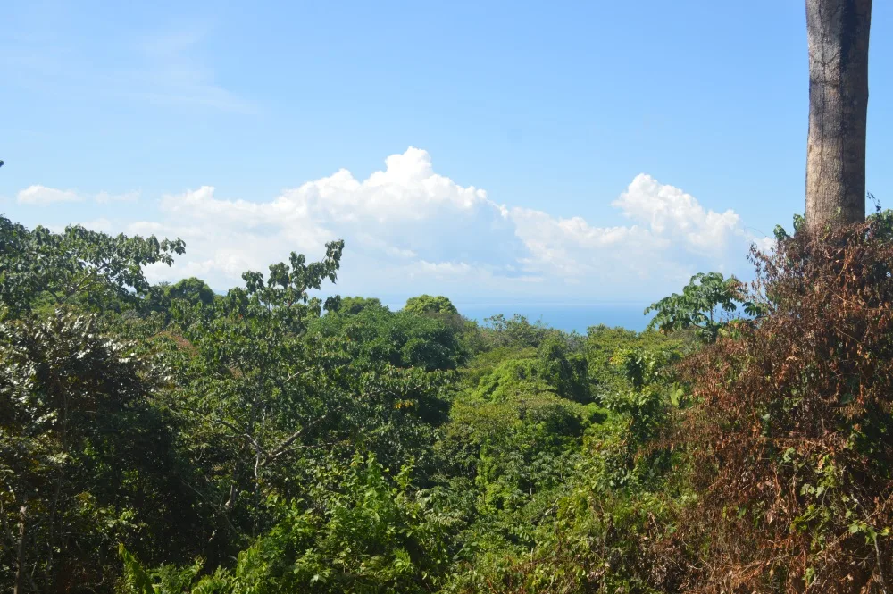 ocean-view-lot-cuervito-pavones