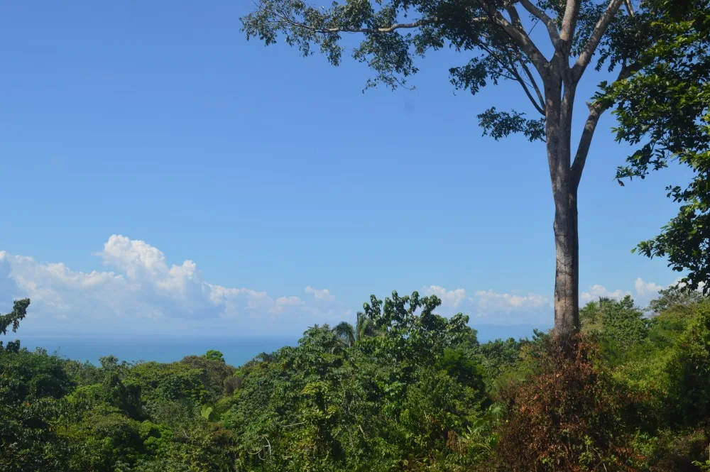 Provincia de Puntarenas, Costa Rica