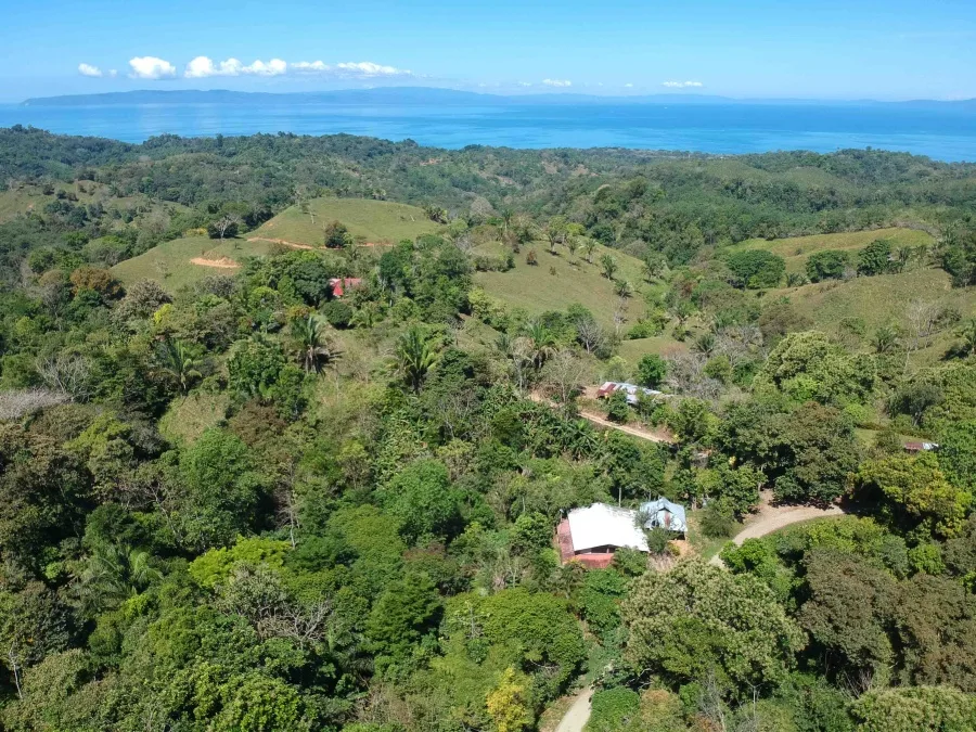 casa-de-los-cielos-cuervito-pavones