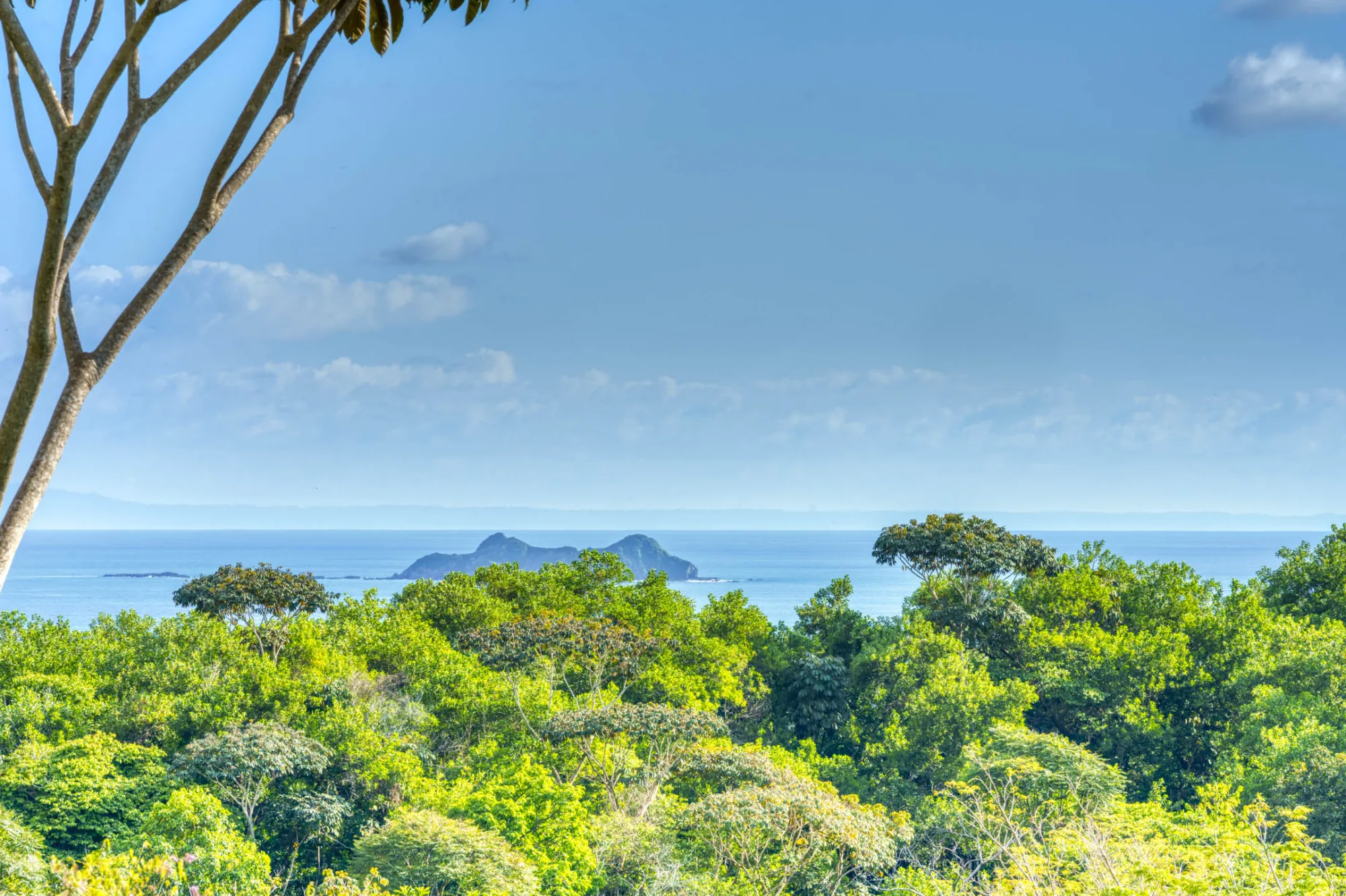 ballena-farm-uvita