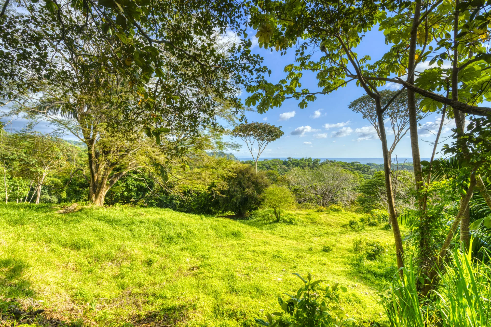Ballena Farm – Uvita, Uvita, Costa Rica — photo 5