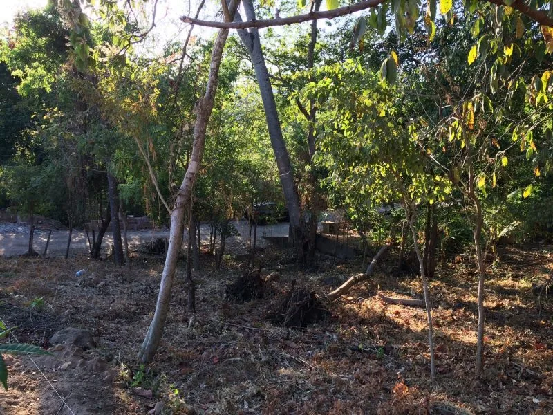 Atami Oceanview Property in El Salvador - 5