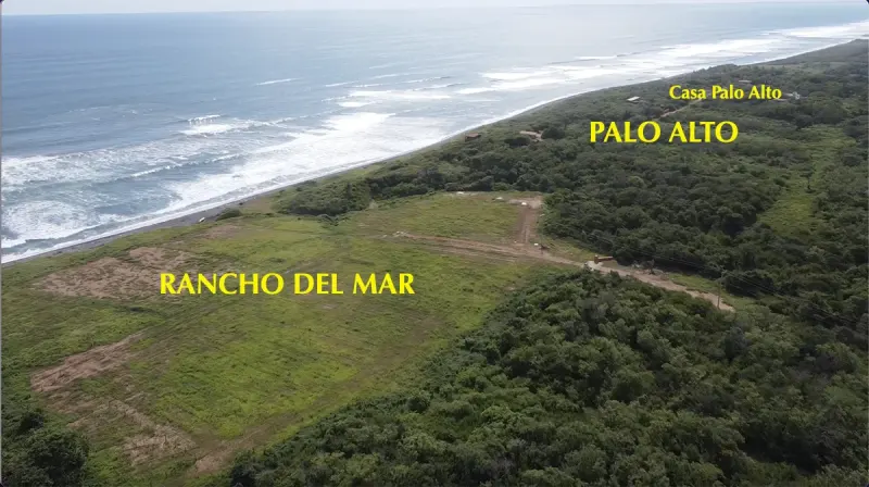The Ranch and Palo Alto Area thumbnail 1
