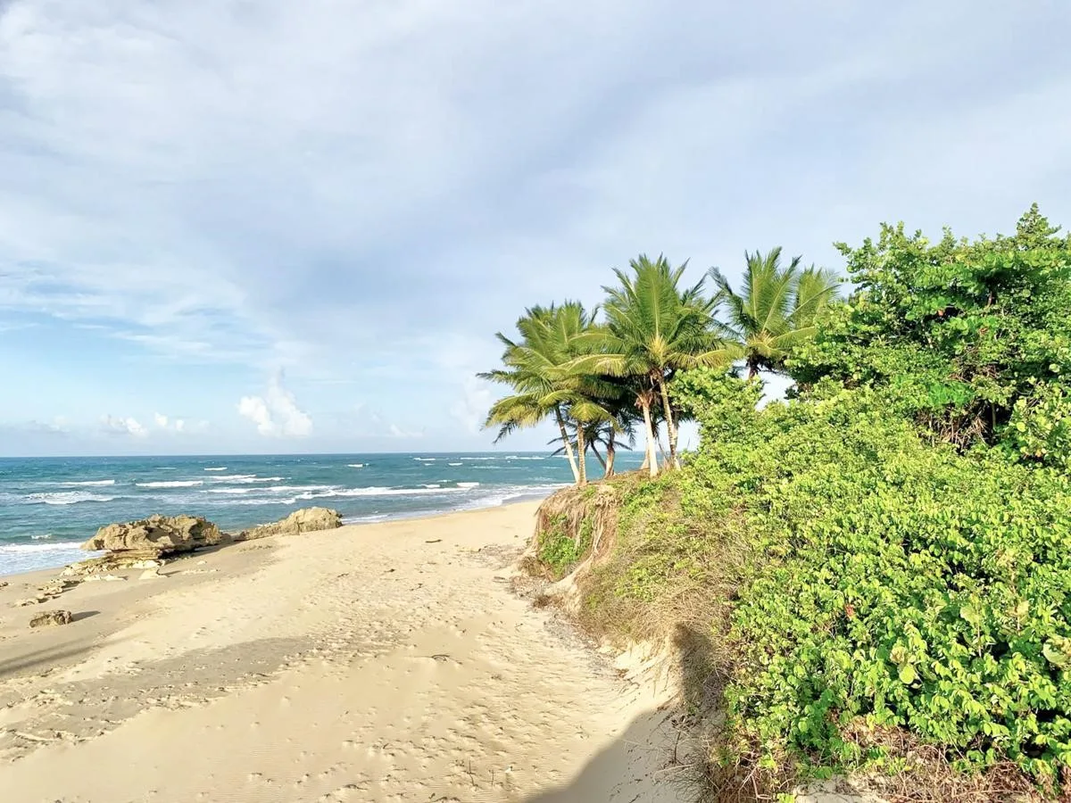 beachfront-lot-encuentro-beach-cabarete-dominican-republic