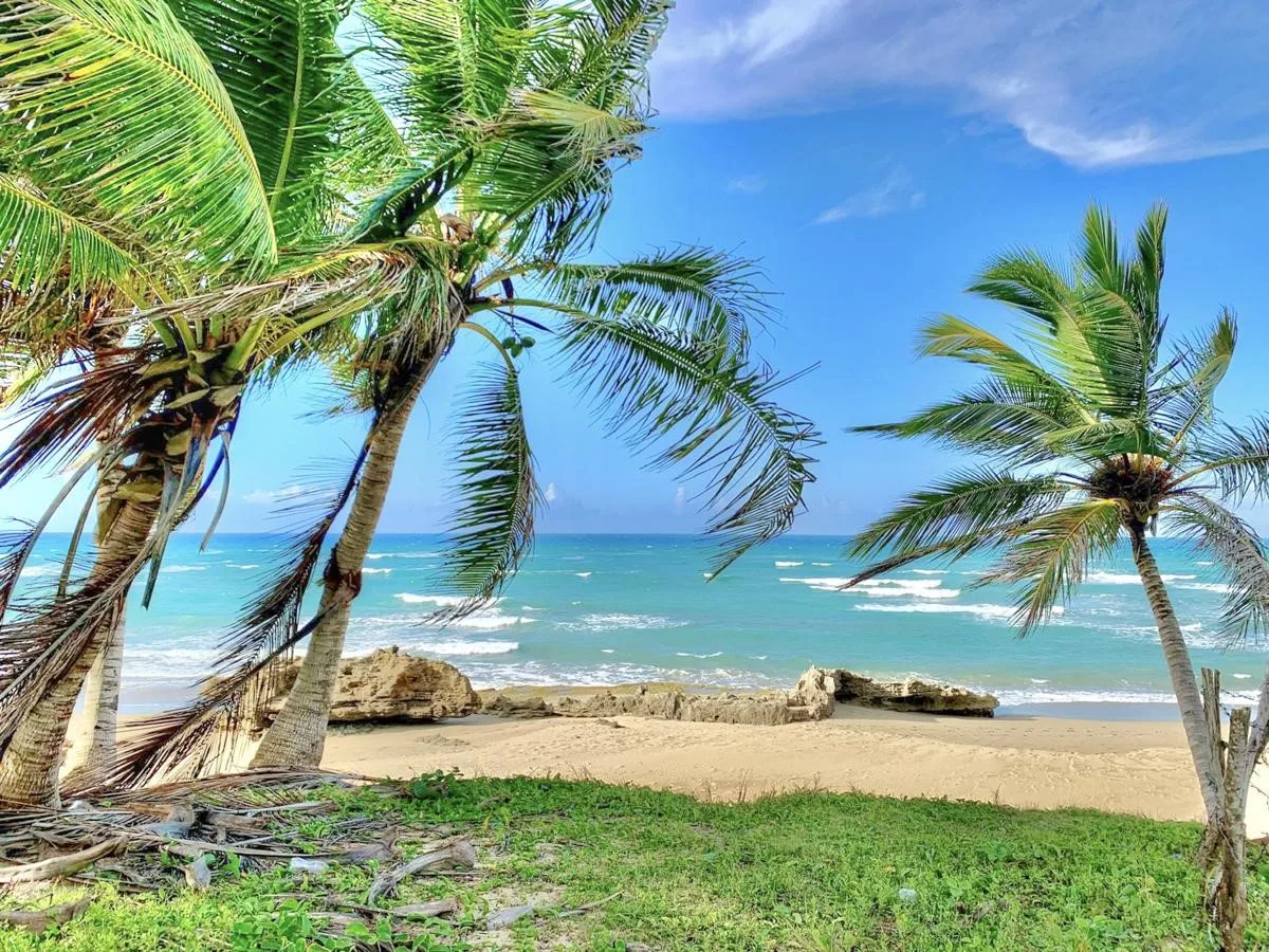 beachfront-lot-encuentro-beach-cabarete-dominican-republic
