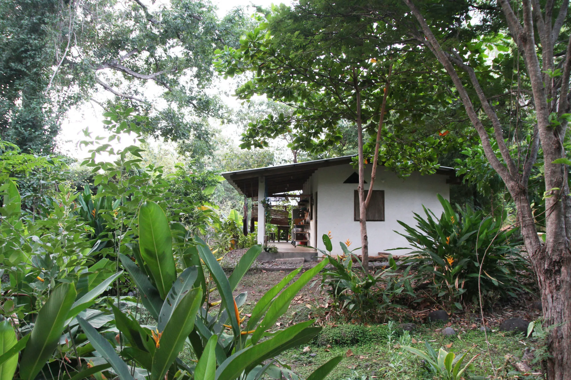 K59 Surf Ranch, K59, El Salvador — photo 2