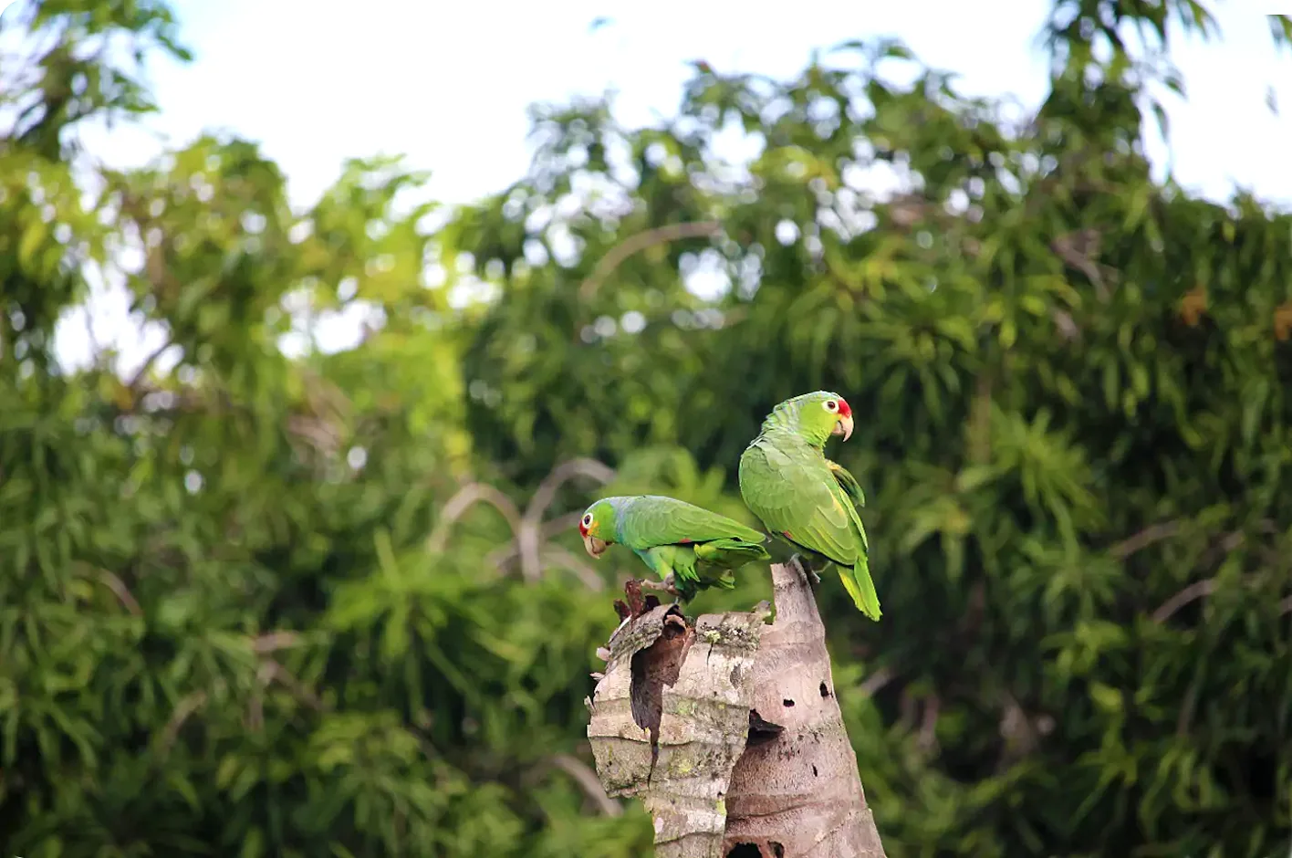 La Virgen, Costa Rica