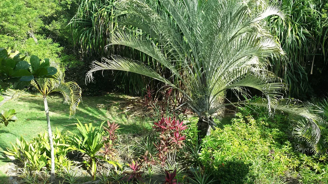 Casa Stella, Puntarenas Province, Costa Rica — photo 5