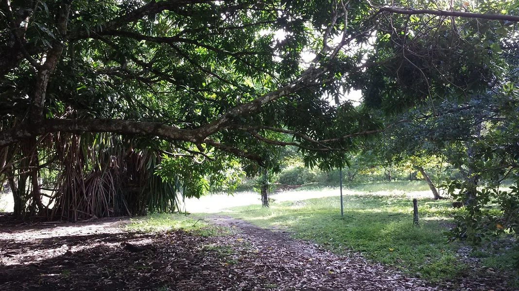 Casa Stella, Puntarenas Province, Costa Rica — photo 4