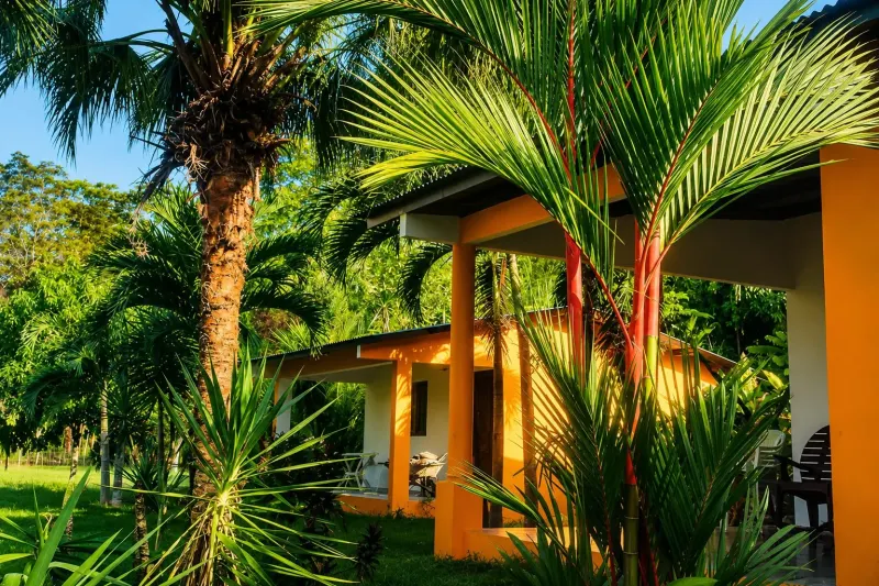 Turnkey Surf Camp School in Tropical Paradise – Guanico, Panama - 5