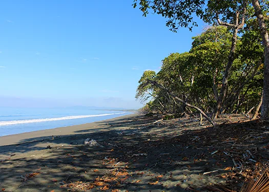 Langostino Bay at Pavones Beachfront Lots, Pavones, Costa Rica — photo 3