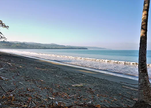 Langostino Bay at Pavones Beachfront Lots, Pavones, Costa Rica — photo 2