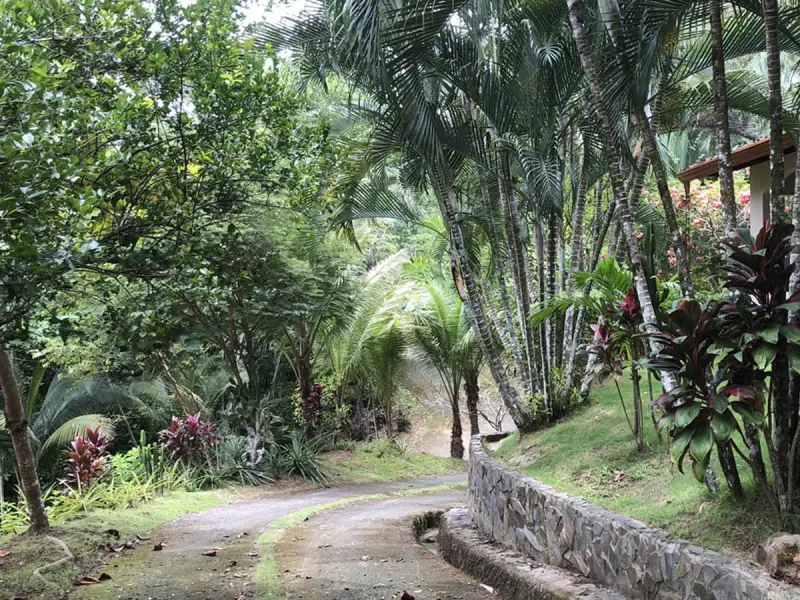 Surfer Retreat – Playa Hermosa – Costa Rica thumbnail 8