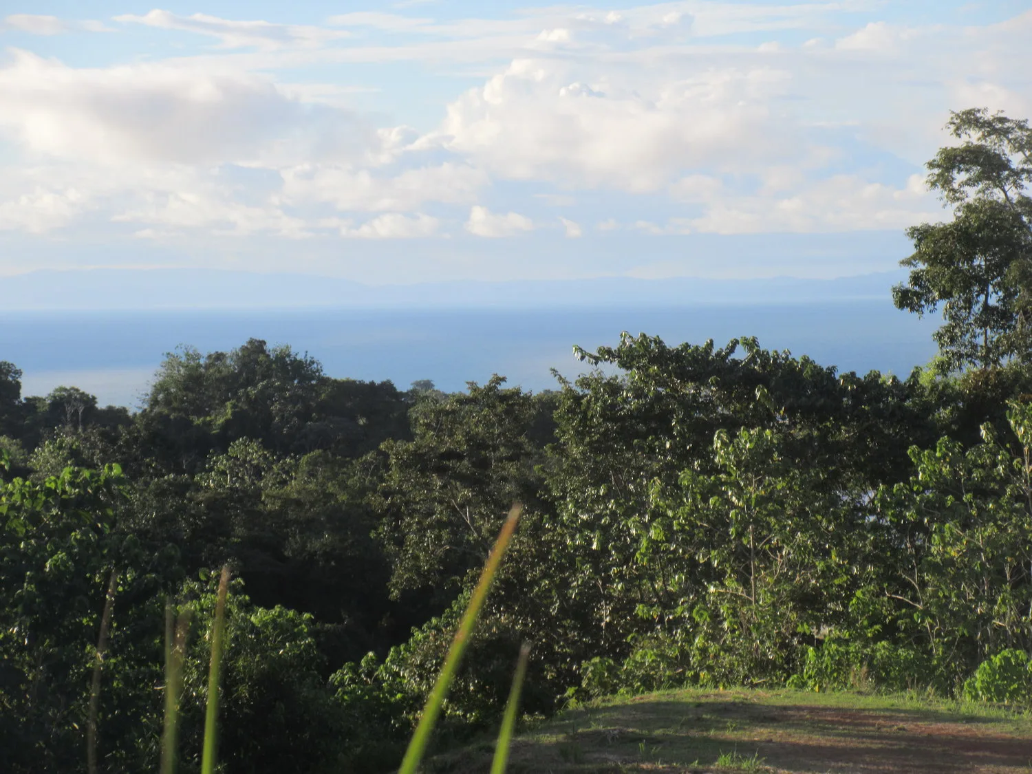 Provincia de Puntarenas, Costa Rica