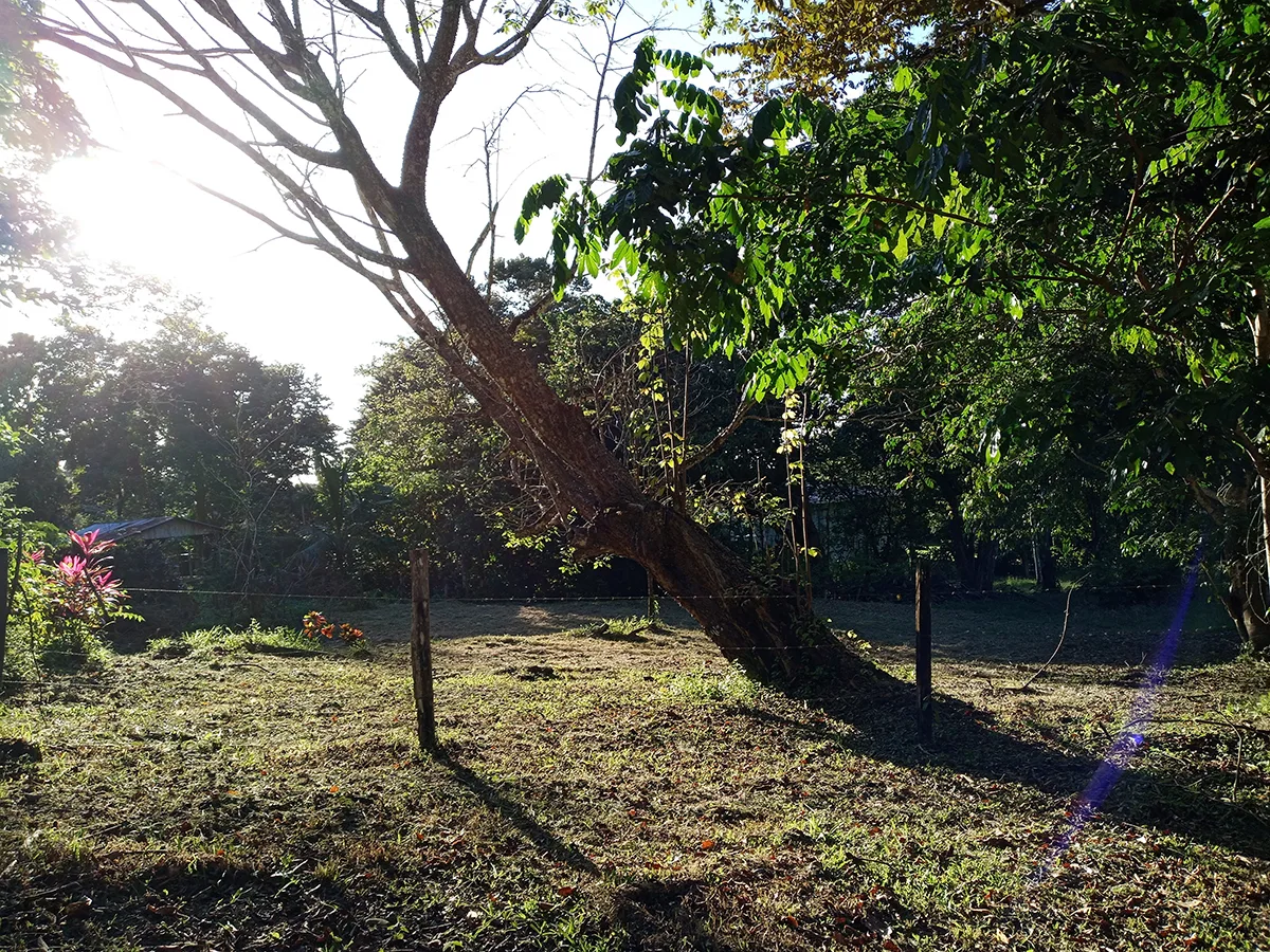 La Hierba, Costa Rica