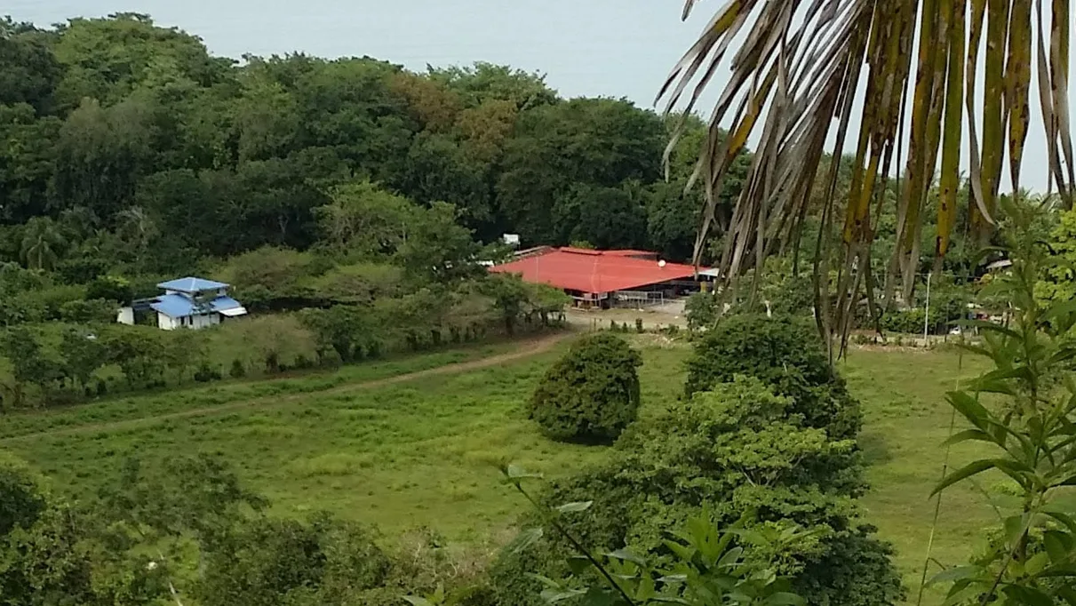 Pavones Walk to Surf Lot, Pavones, Costa Rica — photo 4