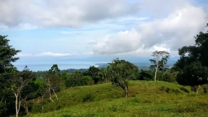 Pavones Ocean View Land for Sale - 3