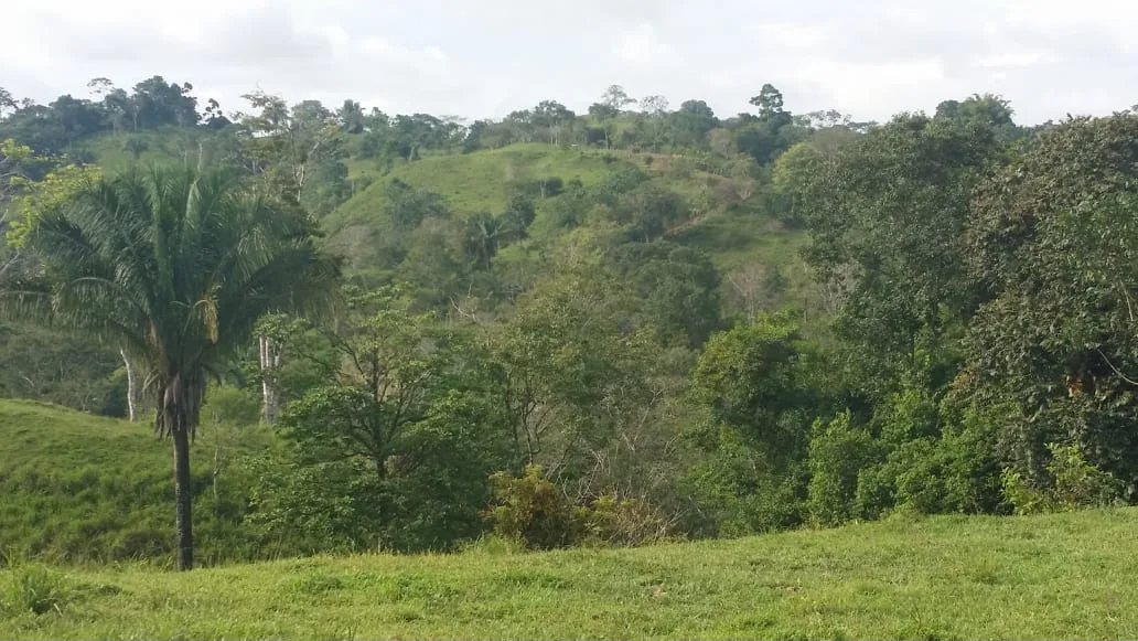 Pavones Ocean View Land for Sale, Pavones, Costa Rica — photo 4