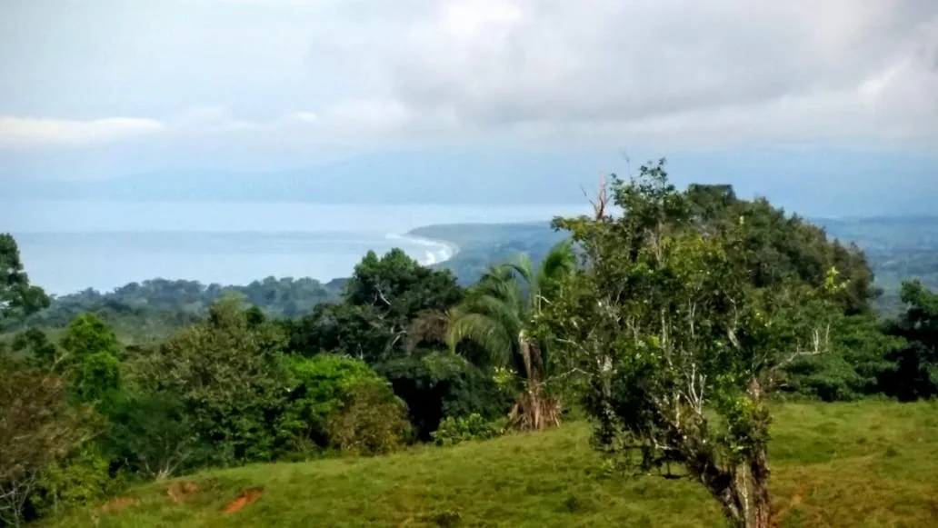 Pavones Ocean View Land for Sale, Pavones, Costa Rica — photo 2