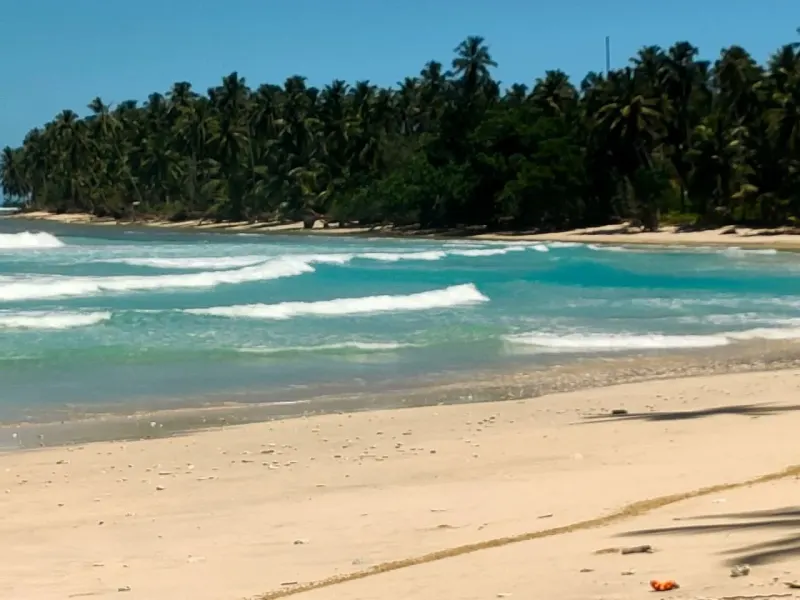 Mentawai Surf Property at Bintangs thumbnail 2