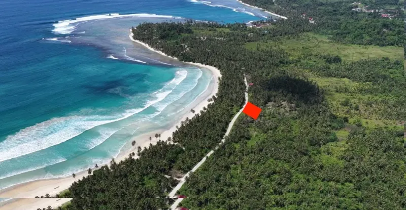 Mentawai Surf Property at Bintangs