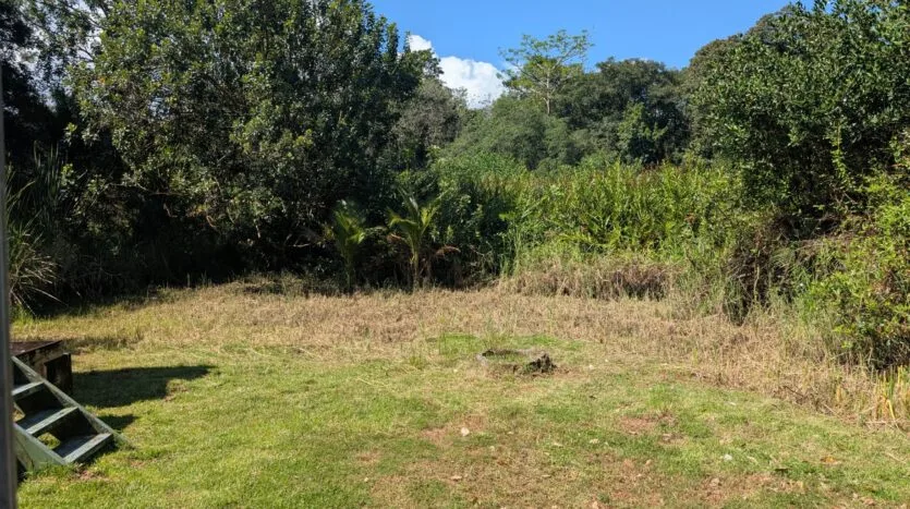 puerto-jiménez-jungle-homesite-land-for-sale