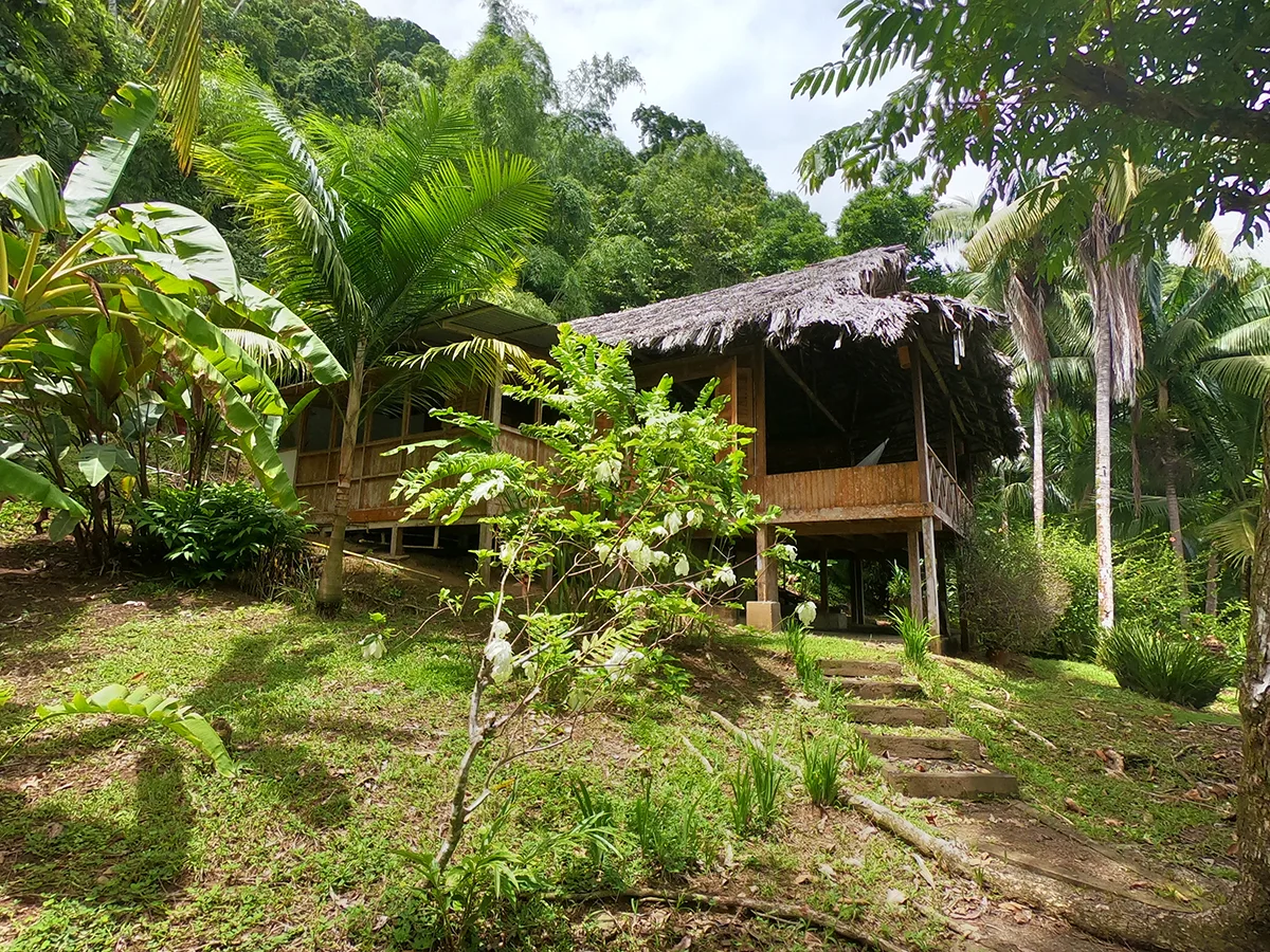 Isla Dulce, Golfito, Costa Rica — photo 2