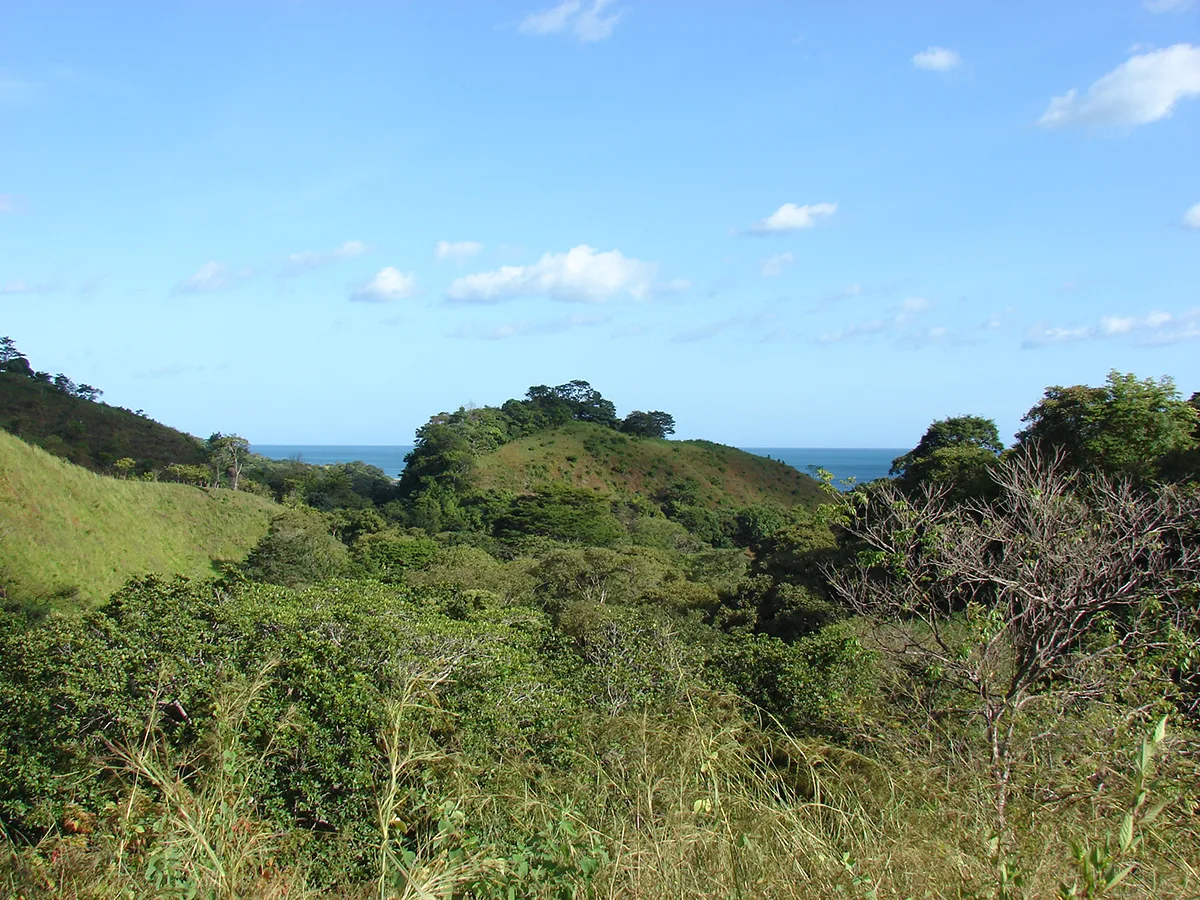 Vista Playa Cambutal Lots - 4