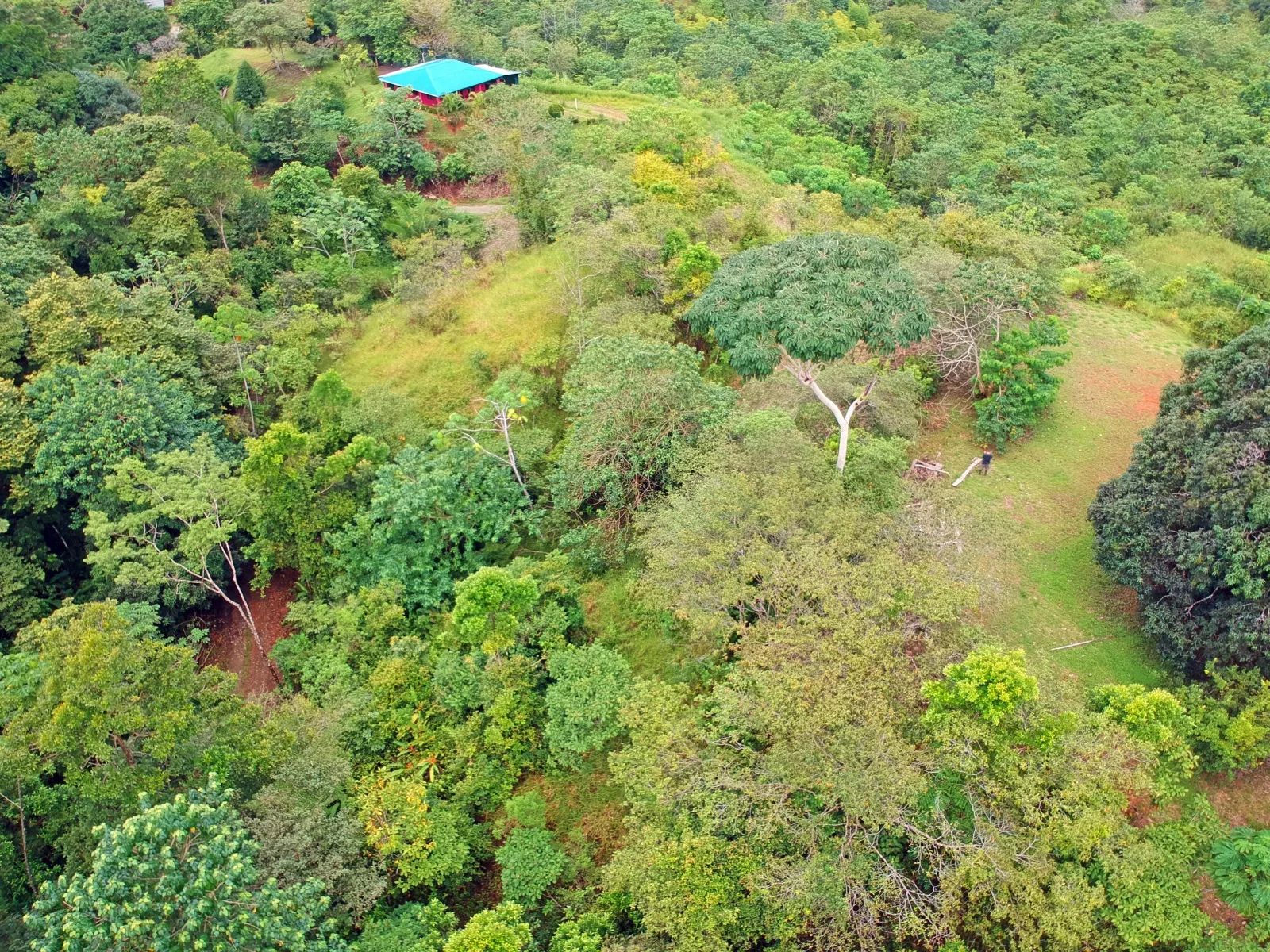 Provincia de Puntarenas, Costa Rica