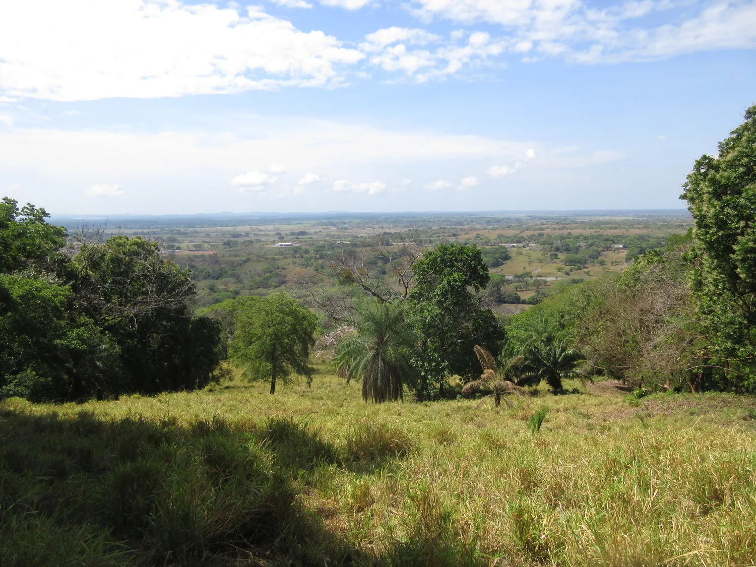 Las Lomas Development, David, Panama — photo 4