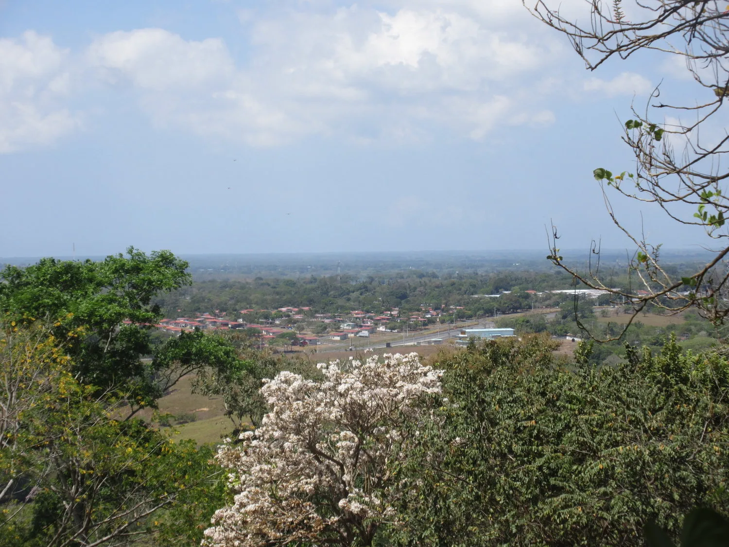 Las Lomas Development, David, Panama — photo 3