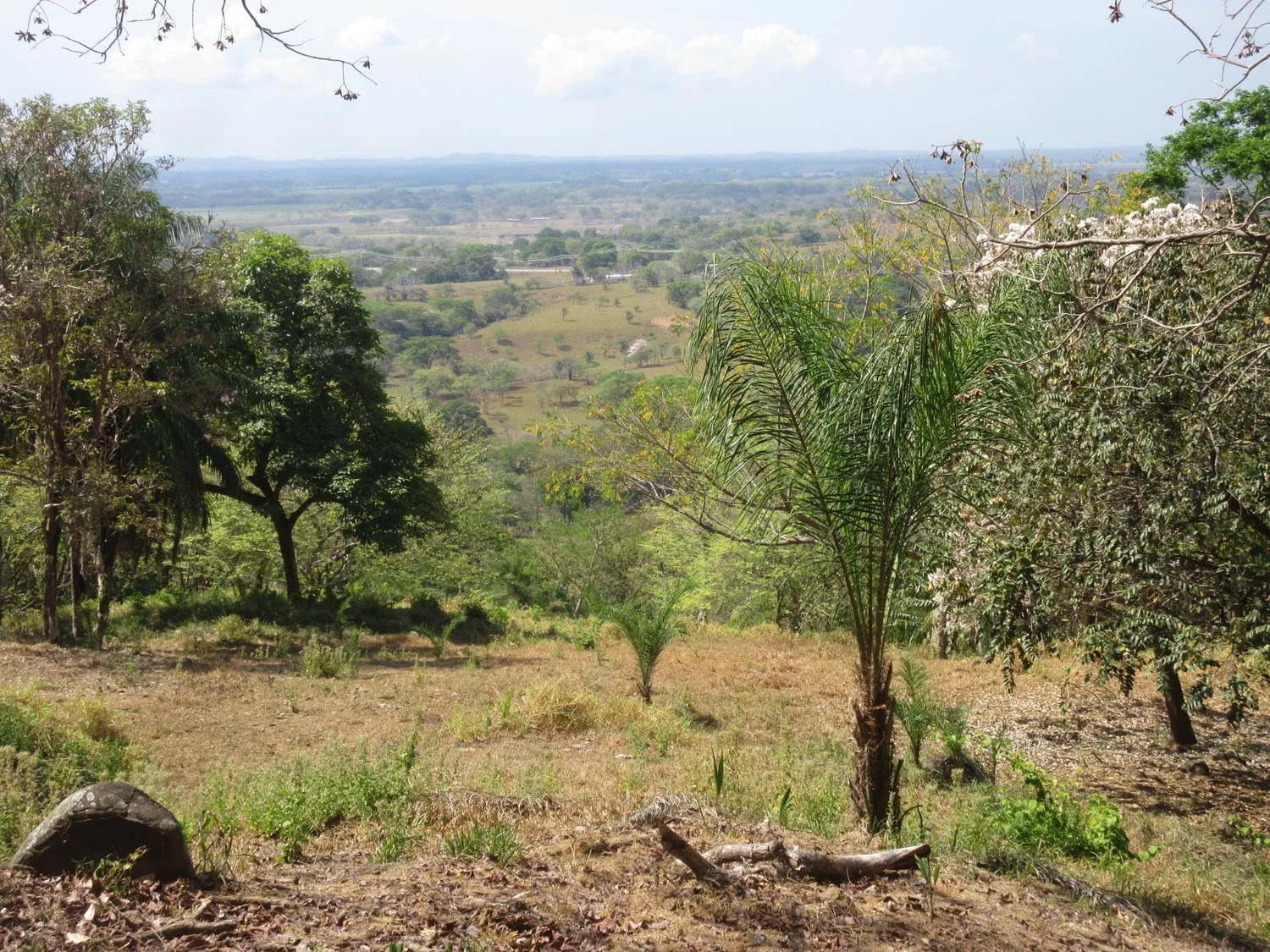 Las Lomas Development, David, Panama — photo 5