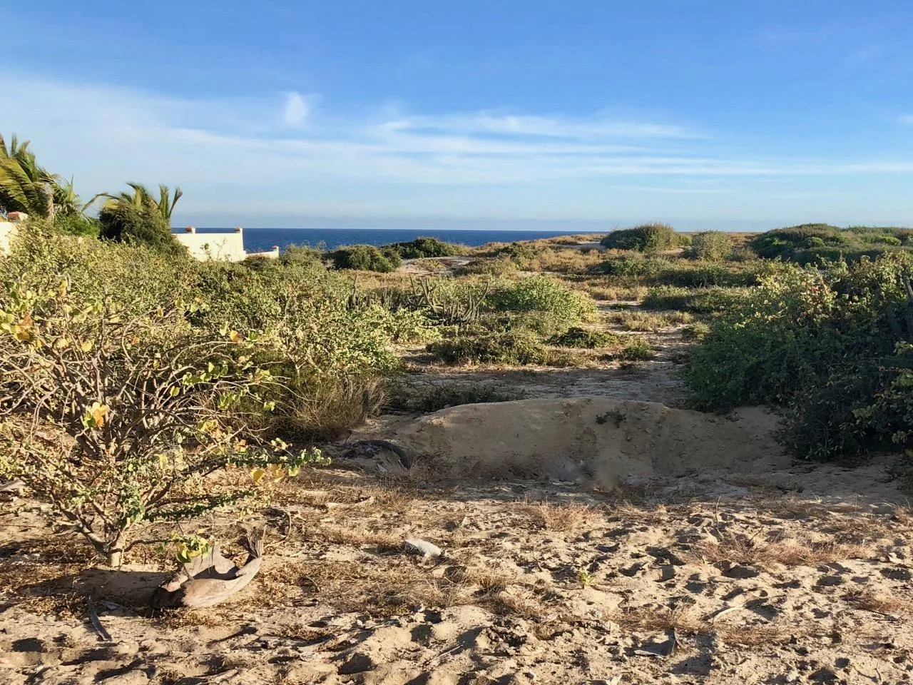 Playa Tortuga 39, Cabo San Lucas, Mexico — photo 2