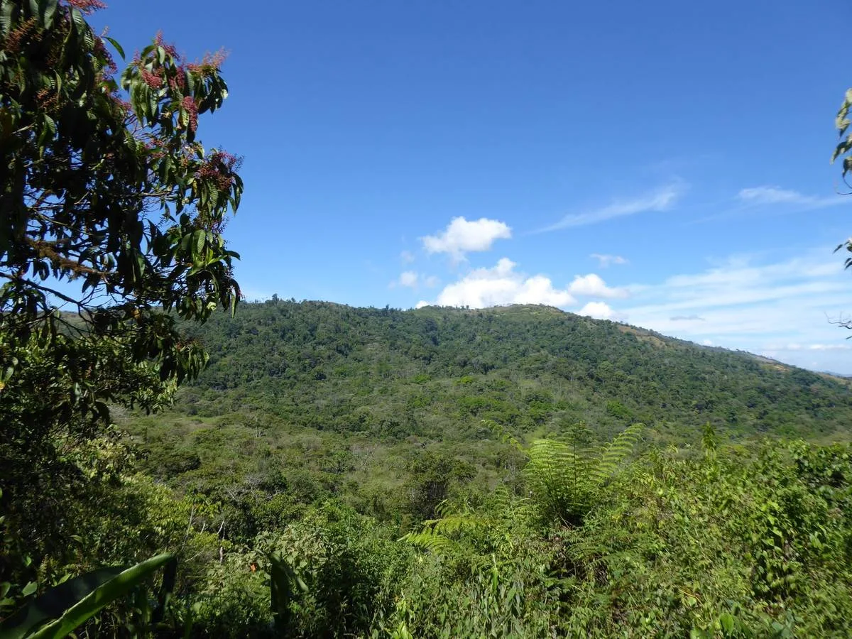 San Vito Paradise, Puntarenas Province, Costa Rica — photo 2
