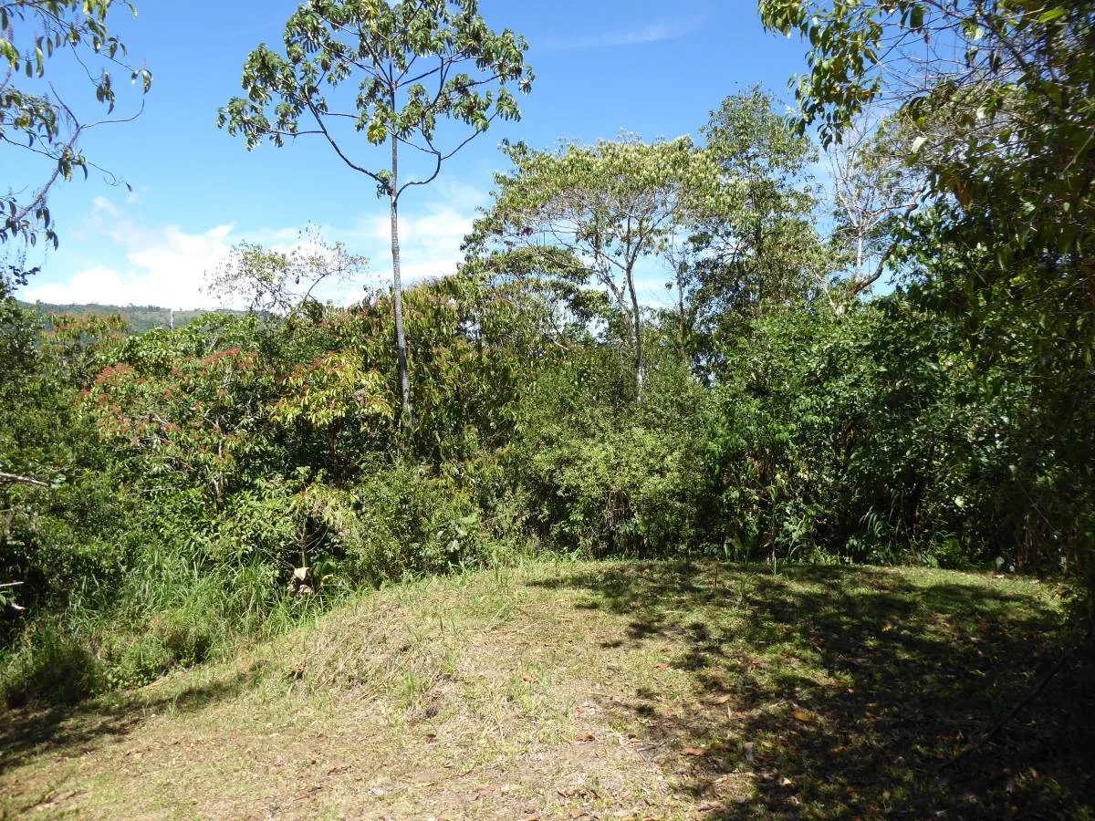 San Vito Paradise, Puntarenas Province, Costa Rica — photo 3