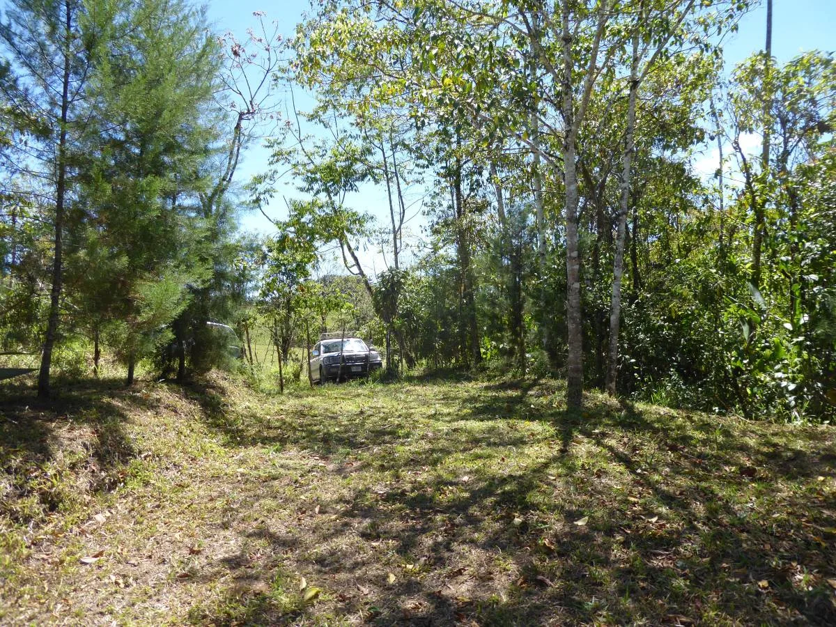 San Vito Paradise, Puntarenas Province, Costa Rica — photo 4