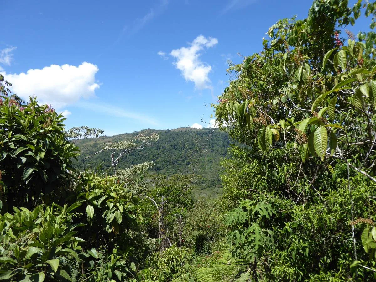 San Vito Paradise, Puntarenas Province, Costa Rica — photo 5