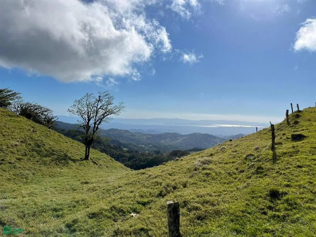 Monteverde, Costa Rica