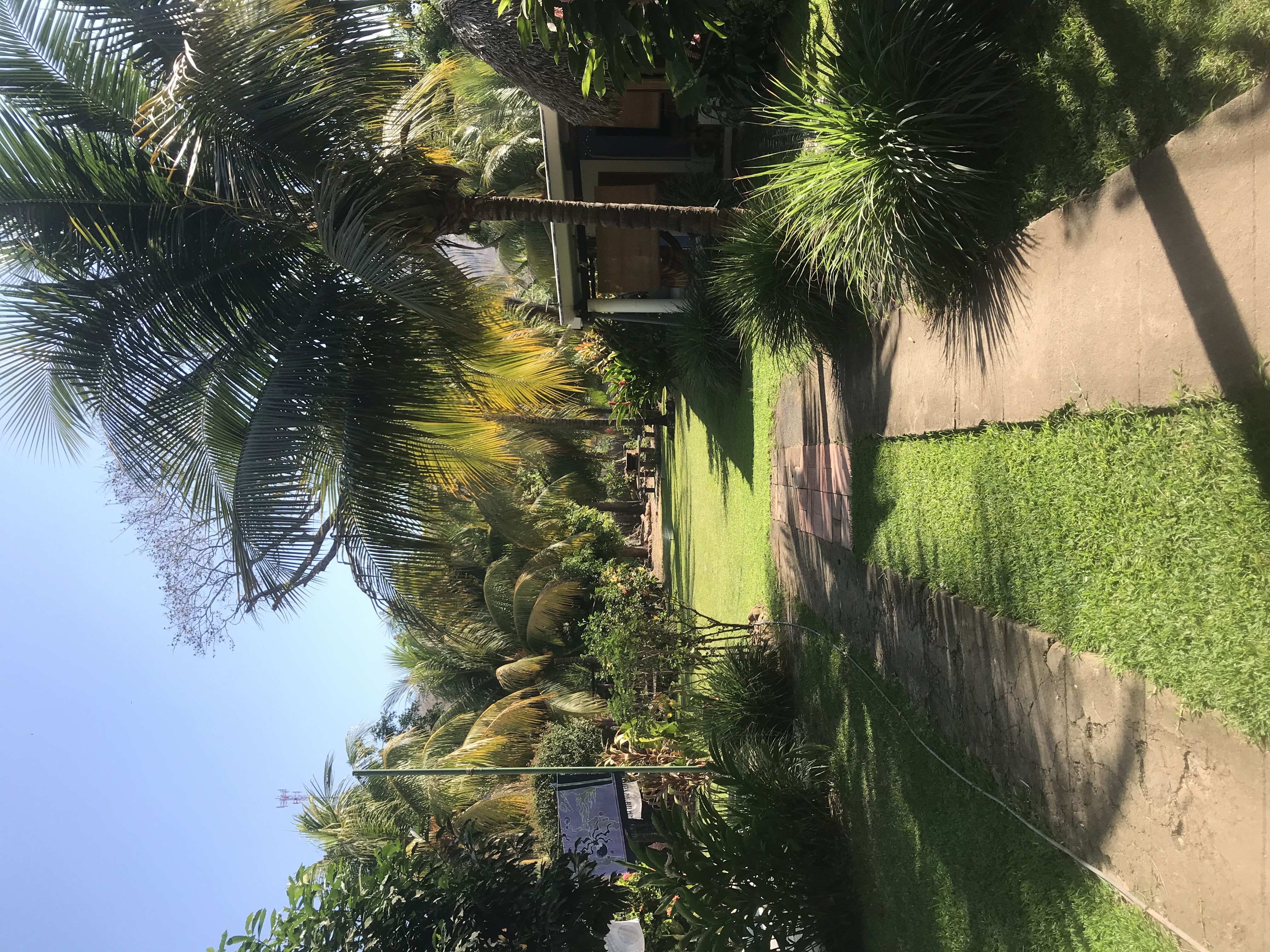 Riverfront Property - Walk to Surf, El Zonte, El Salvador — photo 4