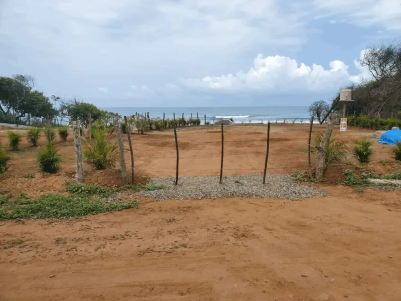 Beachfront Palo Alto Lots For Sale - 3