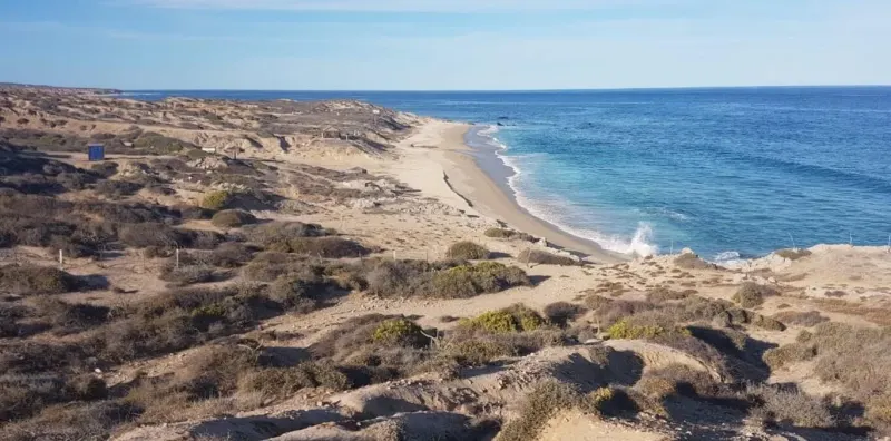 East Cape, Mexico