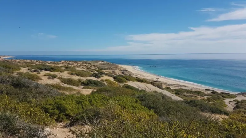 East Cape Beachfront Development Property thumbnail 6