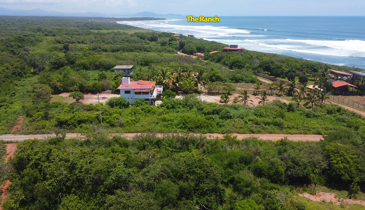 casa-pilucha-palo-alto-mexico