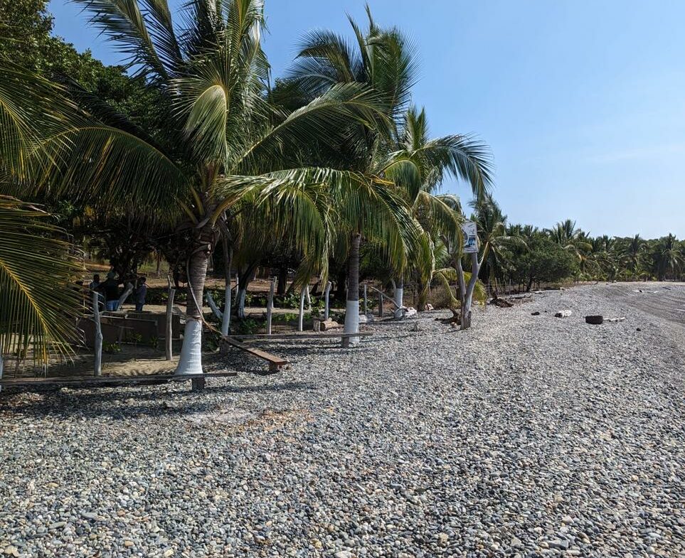 2_Beach_Front_Saldita_Lots_for_Sale_Beach_View_Coco_Trees