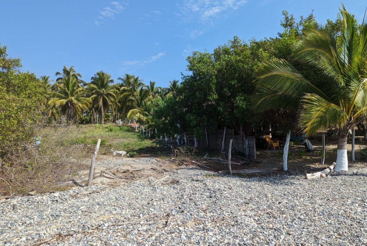 2_Beach_Front_Saldita_Lots_for_Sale_Beach_View_Fence_Line