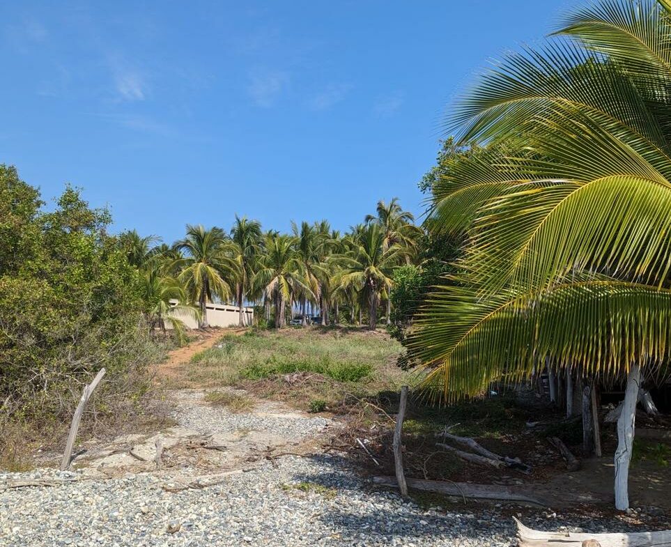 2_Beach_Front_Saldita_Lots_for_Sale_Beach_View_Lot_Path