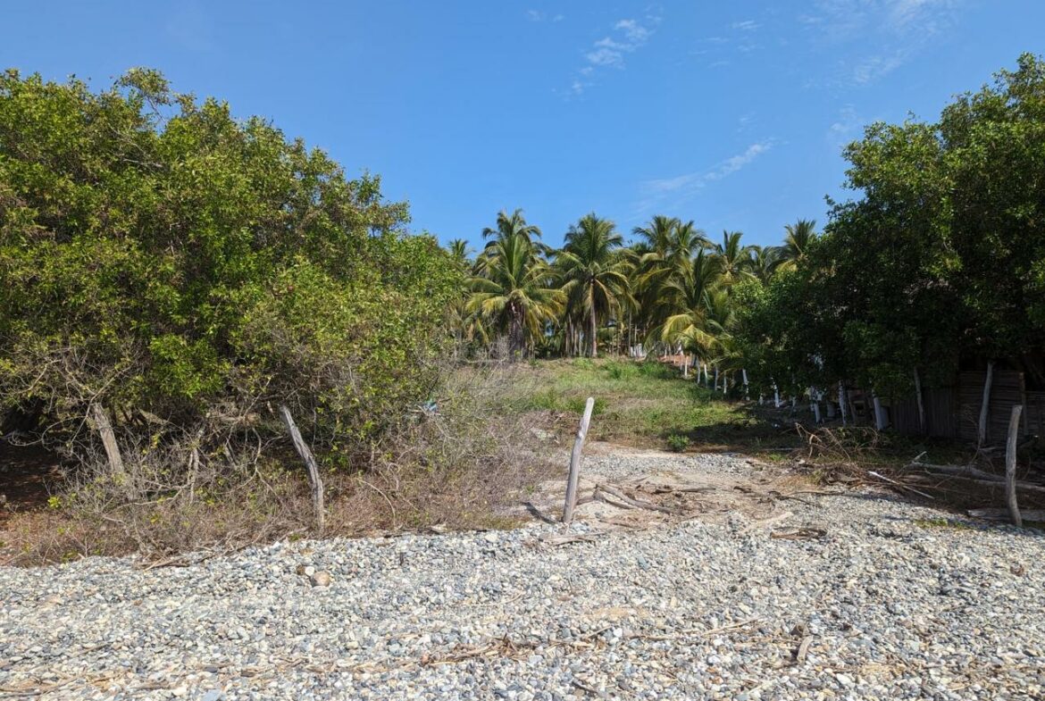 2_Beach_Front_Saldita_Lots_for_Sale_Beach_View_Lot_Path_Fence