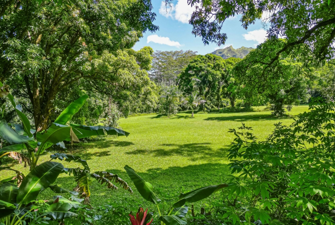 spectacular-hanalei-kauai-property