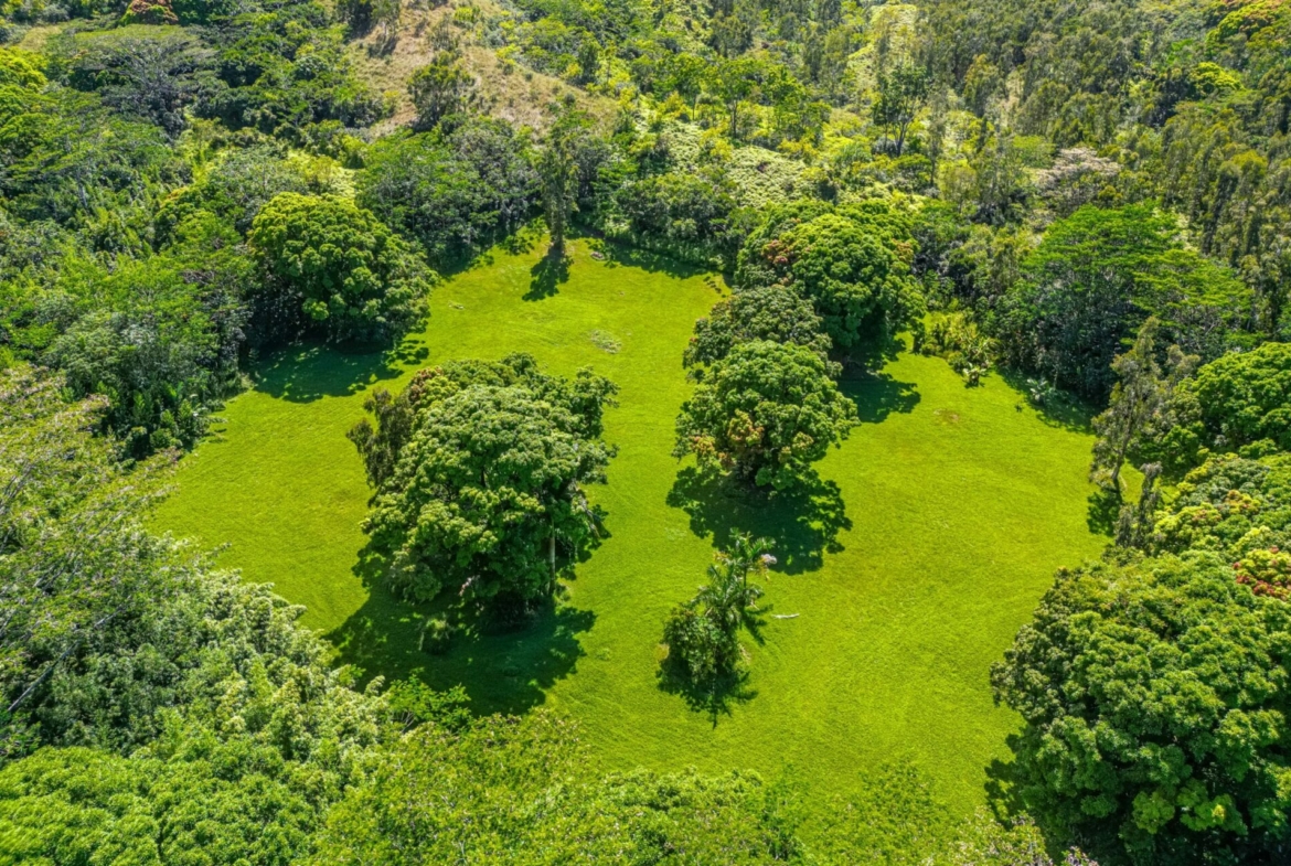 spectacular-hanalei-kauai-property